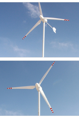 Turbine van de de Schachtwind van 96V 220V de Horizontale 3Ph van de Generator van de Netwind