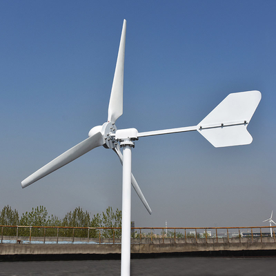 De horizontale Alternatieve Windmolen Met lage snelheid van de Windgenerator 1KW 3KW 24V 48V voor Huisgebruik