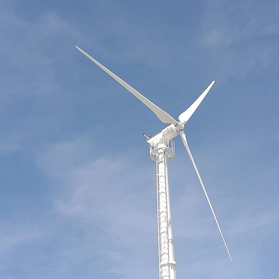 Het multi van de de Turbogenerator30kw 220V AC Wind van de Kleuren Elektrische Wind Blad van de de Generatorglasvezel