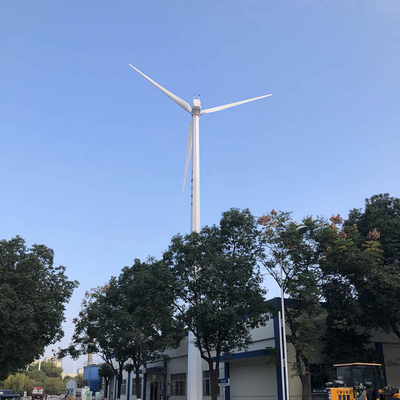 Het multi van de de Turbogenerator30kw 220V AC Wind van de Kleuren Elektrische Wind Blad van de de Generatorglasvezel
