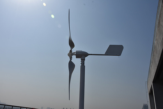 0.8kW de horizontale Installatie van de de Turbine24v 48Volt 1000W Horizontale Windenergie van de As Kleine Wind