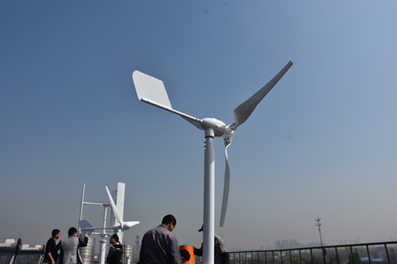 Nylon de Windturbine 24V 48V 800W van het Blad Horizontale Blad voor van Netsysteem